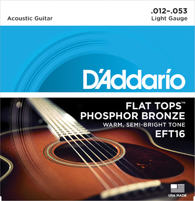 D'Addario EFT16