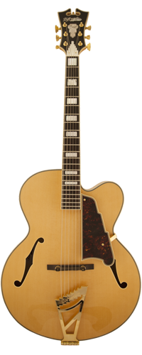 D'Angelico Excel EXL-1A
