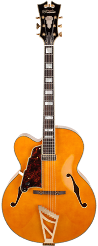 D'Angelico Excel EXL-1-LNAT