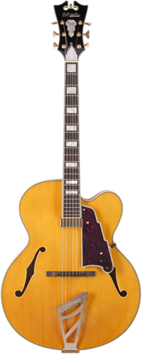 D'Angelico Excel EXL-1-NAT