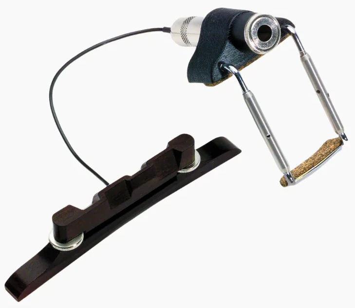 Fishman Classic PRO-M20-OMA