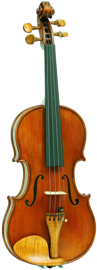 Gliga Gloria IG-V014