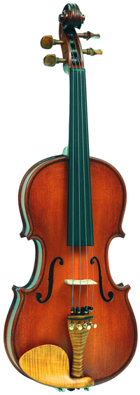 Gliga Gloria SG-V018