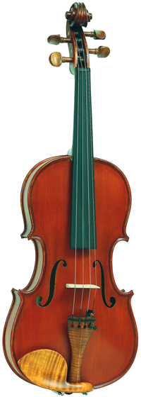 Gliga Gloria SG-V034