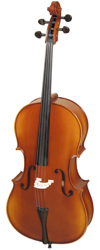 Hora Rhapsody C100