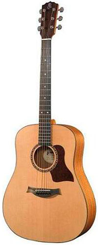 Raimundo DS200E