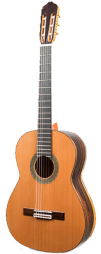 Raimundo 133 Spruce