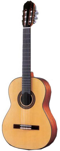 Raimundo 136 Spruce