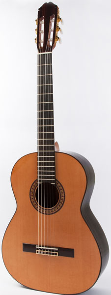 Raimundo 146 Spruce