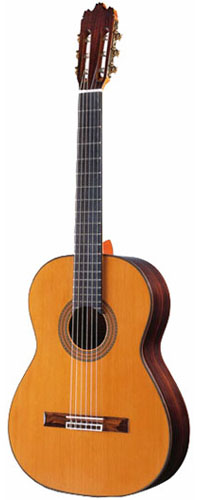Raimundo 155 Cedar
