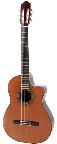 Raimundo 660E Cedar