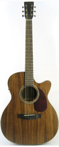 Tokai CE55T-K(EQ)